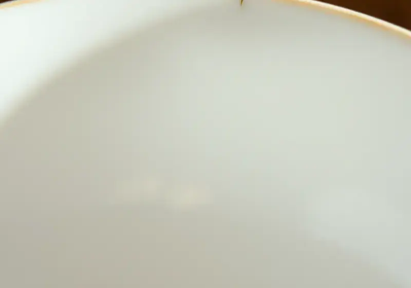 陶磁器修復事例 — 有田焼